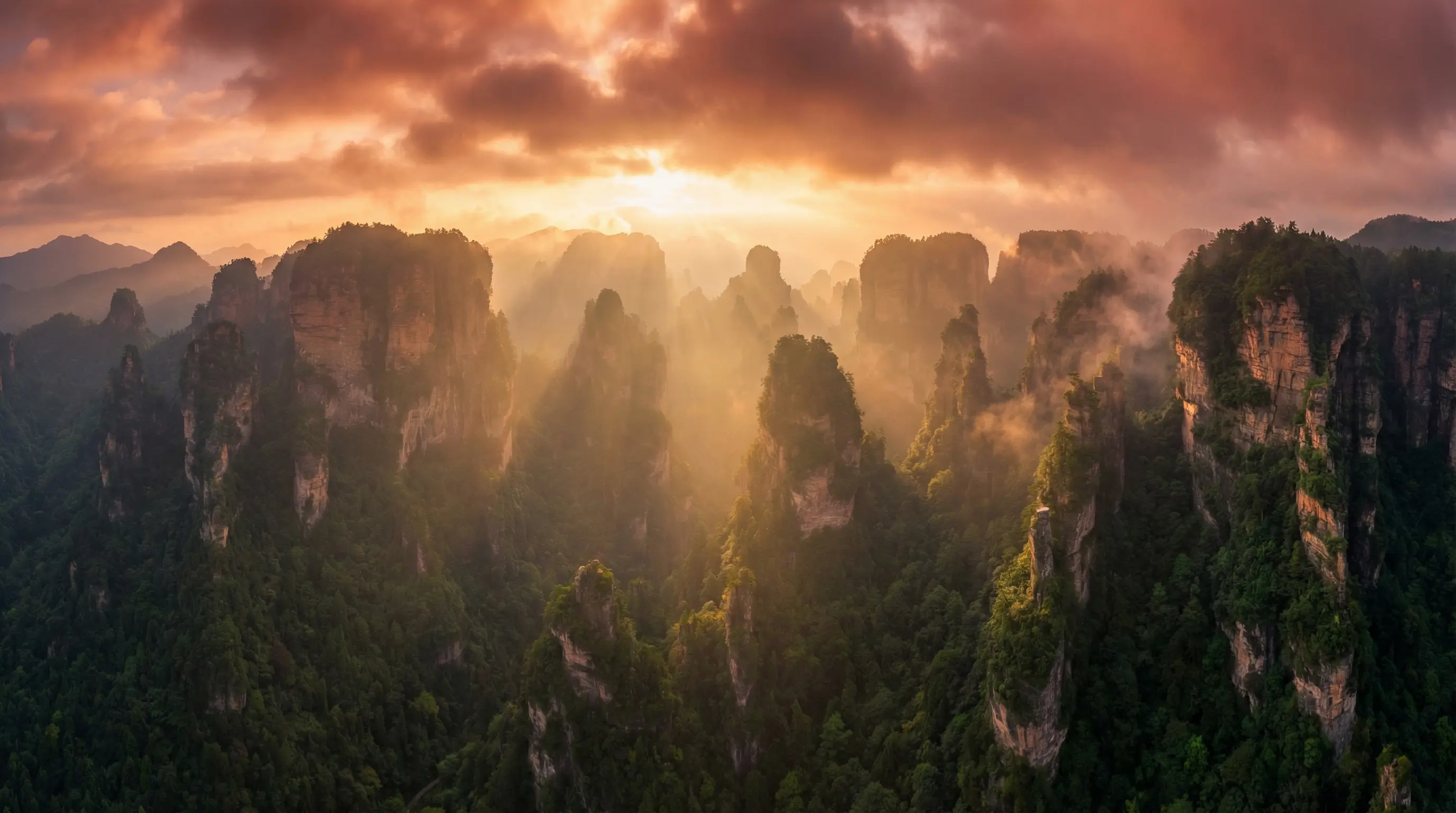 高桥 圣子 自然风光视频封面
